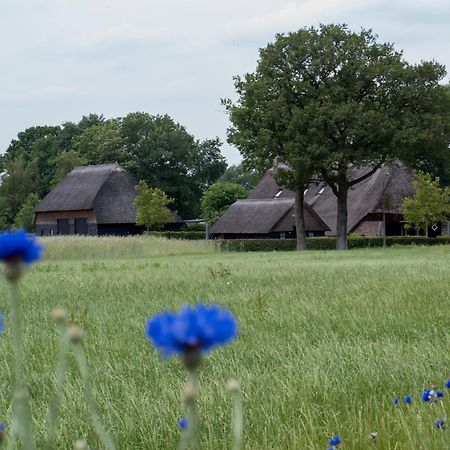 Gastenverblijf Lheederhof Двінґело Екстер'єр фото