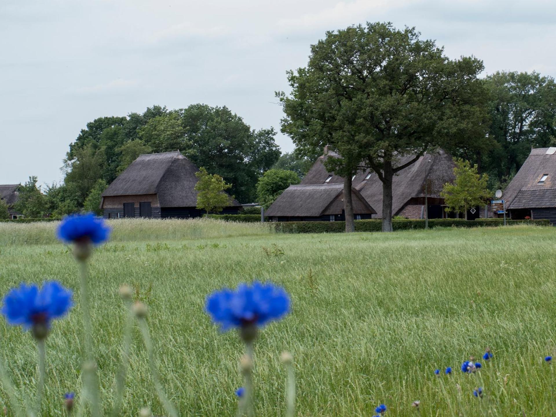 Gastenverblijf Lheederhof Двінґело Екстер'єр фото